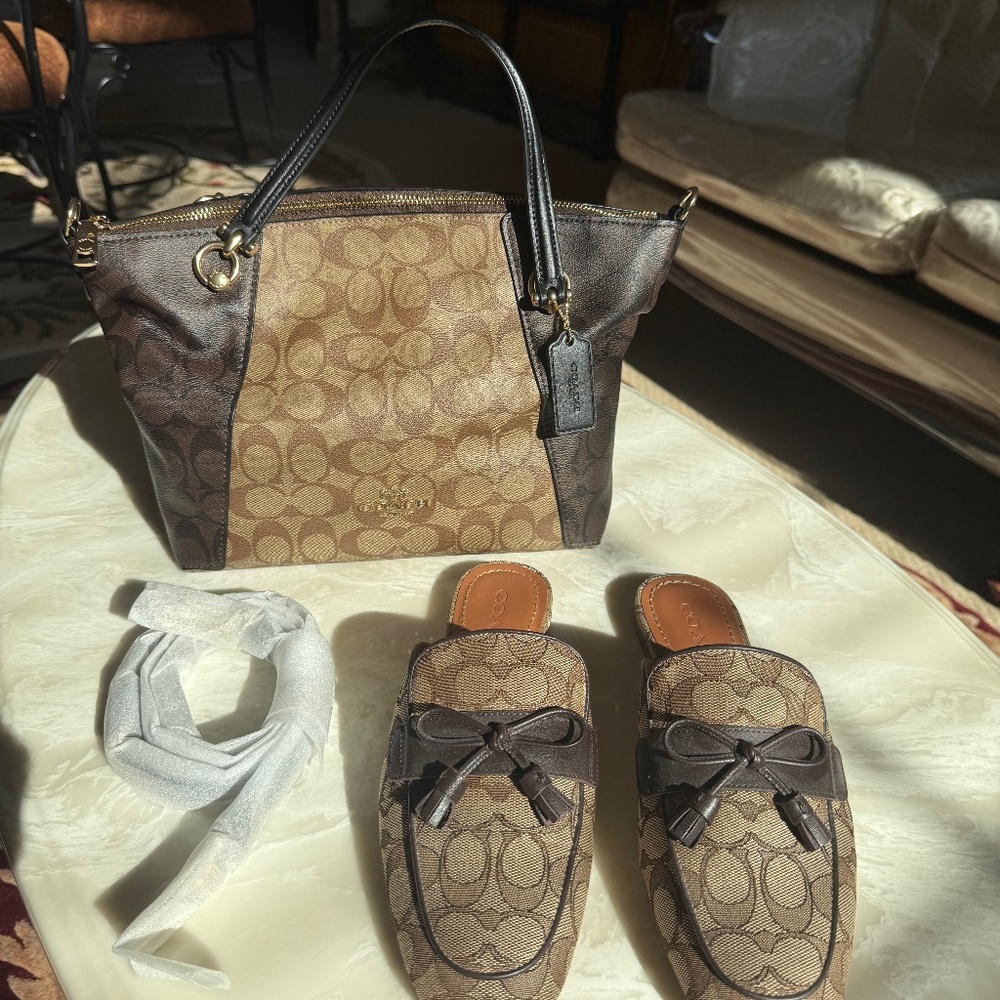 Coach bag and shoes